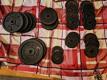 Lotto 23  pesi palestra 10-5-2-1 kg