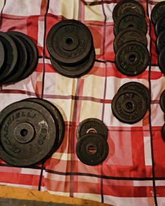 Lotto 23  pesi palestra 10-5-2-1 kg