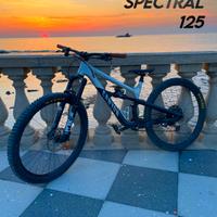Canyon Spectral 125