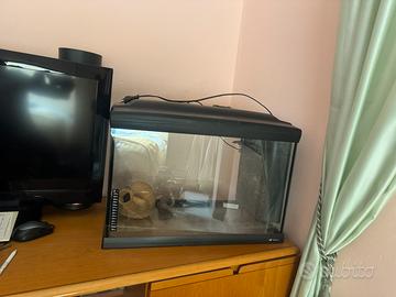 Acquario Cayman 60 lt