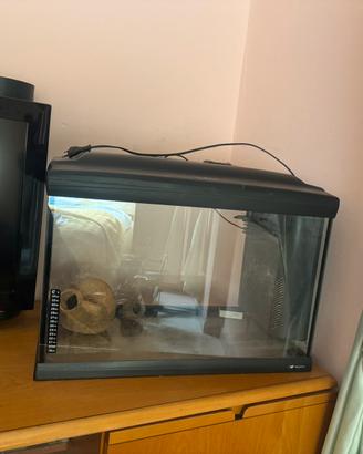 Acquario Cayman 60 lt
