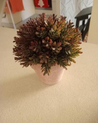 Pianta finta