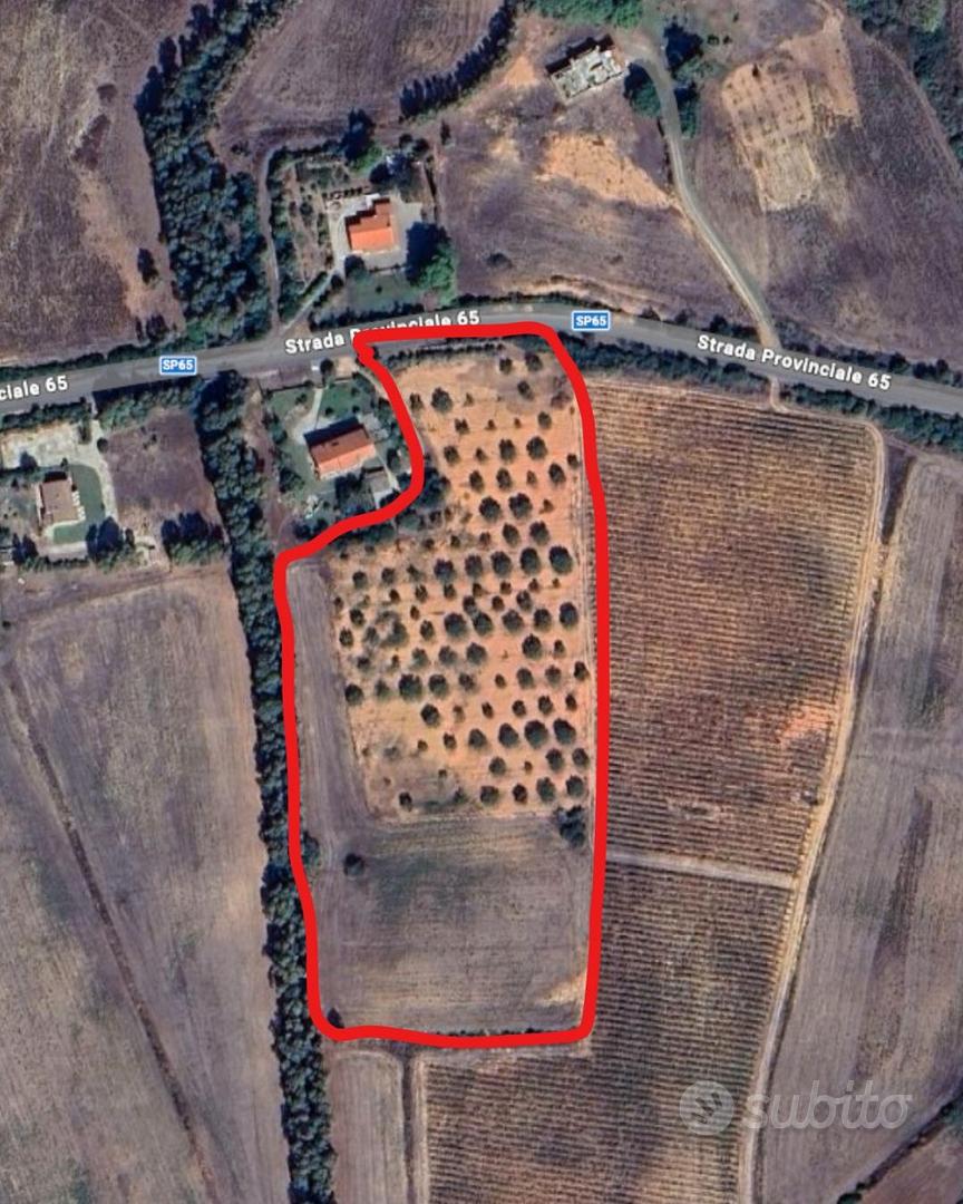 Terreno edificabile zona Baratz e Porto Ferro - Vista 4