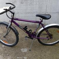 bicicletta Mountain bike Chesini da 26