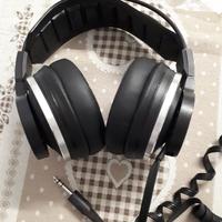 AKG K-340 elettrostatiche-dinamiche