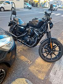 Harley davidson 883 iron