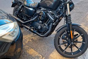 Harley davidson 883 iron