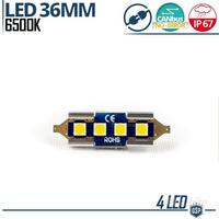1 Lampadina LED SILURO 36mm C5W CAnbus Luce Bianca