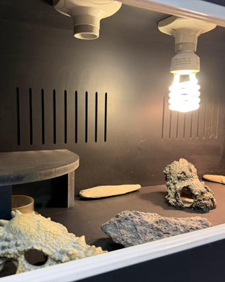 TECA PROFESSIONALE RETTILI