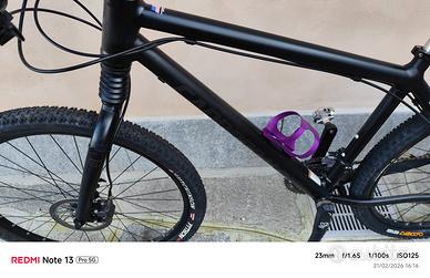 Cannondale bad boys