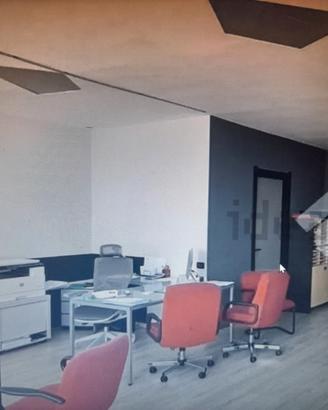 Studio Professionale