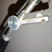 LAMPADA/PIANTANA DA SALOTTO O STUDIO ARTEMIDE