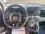 Immagine 7