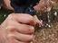 Immagine 6