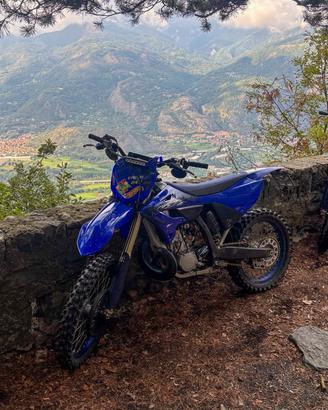 YAMAHA YZ 250 2t 2023/24