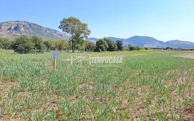 Terreno pianeggiante in loc.tà MORTACINO