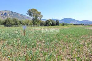Terreno pianeggiante in loc.tà MORTACINO