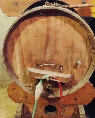 Botte in legno di rovere 