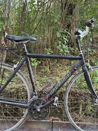 Bici da città