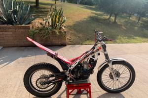 Beta Evo 300