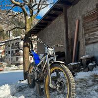 Trial sherco 290