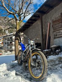 Trial sherco 290