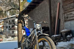 Trial sherco 290