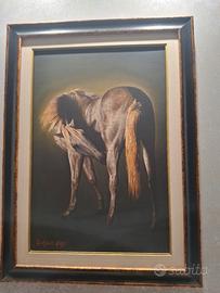 quadro cavallo 