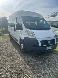 Fiat ducato 9 posti