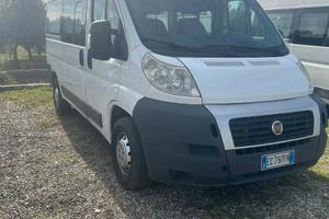 Fiat ducato 9 posti