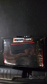 COPRISEDILI ANTERIORI