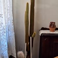 cactus alto 150cm