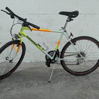 Bici Montain bike Adriatica