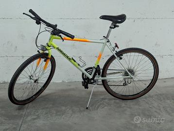 Bici Montain bike Adriatica