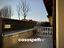 Immagine 7