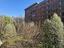 Immagine 11