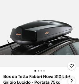 box tetto auto nero