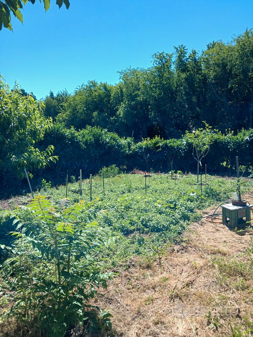 Terreno agricolo - Altro