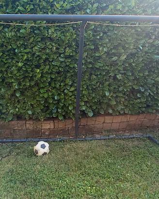 porta calcio