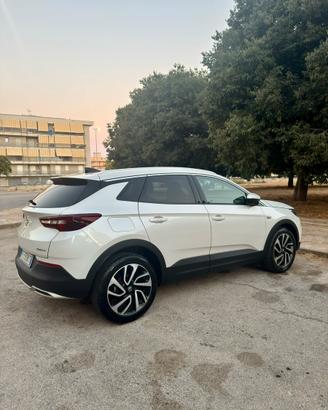 Opel Grandland X1.6 120 CV Full Optional anno 2019