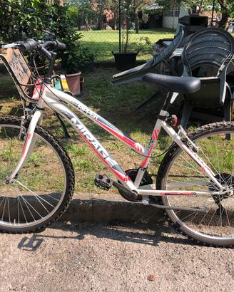 Bicicletta donna ragazza