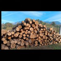 legna da ardere( prendo lotti boschivi)biellese 