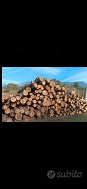 legna da ardere( prendo lotti boschivi)biellese 