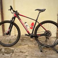 Mountain Bike (Specialized Stumpjumper taglia L)