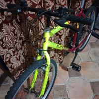 Bicicletta mountain bike