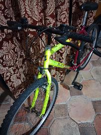 Bicicletta mountain bike