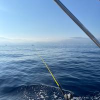 Tubertini cross over 4/8lb Tica oxcean 10