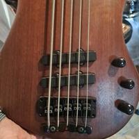 basso warwick thumb bo