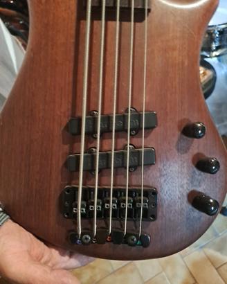 basso warwick thumb bo