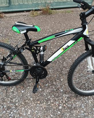 Mountain bike 